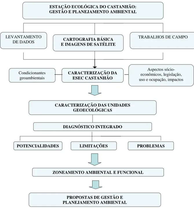 Figura 3 - Fluxograma metodológico da pesquisa. Adaptado de Silva (1998). 