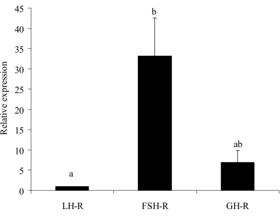 Figure  2:  Steady state  levels  of  FSH R,  LH R,  and  GH R  mRNA  in  caprine  preantral  follicles