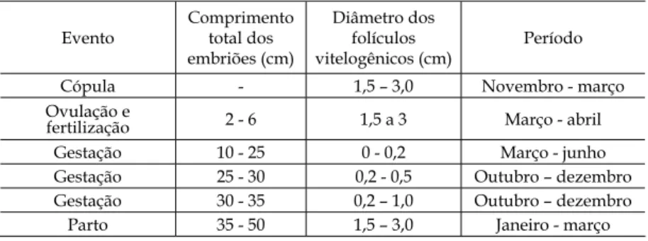 Tabela  I  –  Resumo  do  ciclo  reprodutivo  das  fêmeas  de  Prionace  glauca,  nas  regiões  Sudeste e Sul do Brasil.