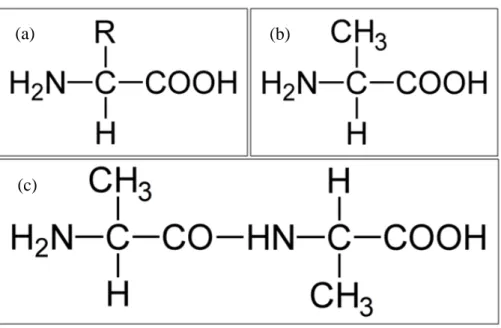 Figura 07  –  Estruturas químicas 