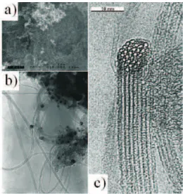 Figura 12: Nanotubos de carbono com uma ´ unica parade obtidos com a t´ecnica de descarga por arco el´etrico: (a) Imagem de microscopia eletrˆonica de varredura (SEM) de