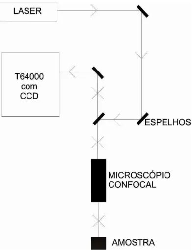 Figura 8 Esquema do sistema de espalhamento Raman utilizado para as medidas desse trabalho