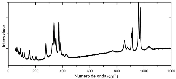 Figura 11 Espectro Raman do MgMoO 4  em pressão ambiente. Região espectral de 50 a 1200 cm -1 