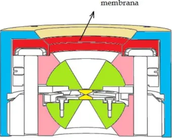 Figura 14: Representa¸c˜ao esquem´atica do corte transversal de uma c´elula a extremos de diamantes com membranas.