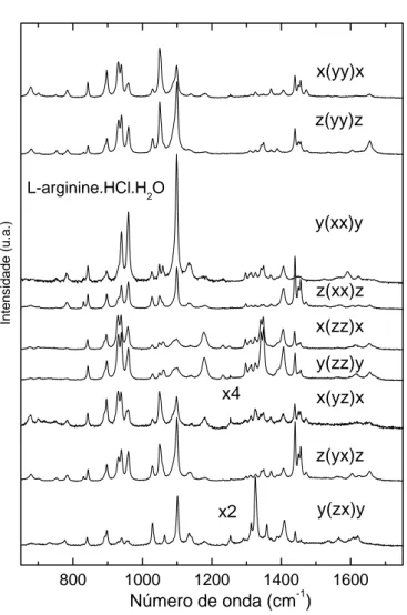 Figura 20: Espectros Raman da LARHCL em várias geometrias de espalhamento na região espectral 650-1750 cm − 1 .