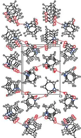 Figura 4.2: Estrutura cristalina da L-prolina. Os ´atomos de oxigˆenio est˜ao representados em vermelho; em azul, os de nitrogˆenio; em preto (circulo maior), os ´atomos de carbono e em preto (c´ırculo menor), os ´atomos de hidrogˆenio