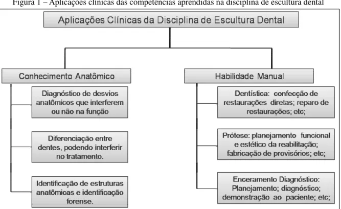 Figura 1 – Aplicações clínicas das competências aprendidas na disciplina de escultura dental 