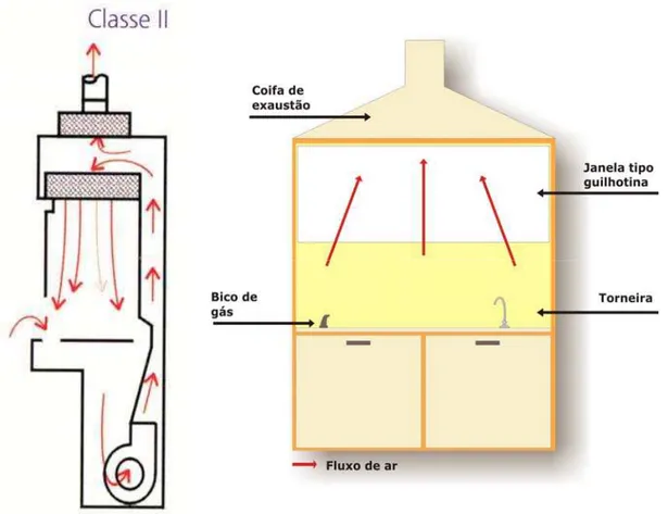 Figura 2 – Representação esquemática da cabine de segurança biológica – classe II e  da capela de exaustão química.