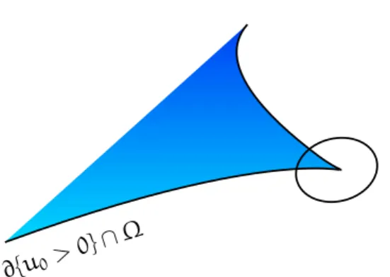Fig. 5.1: A fronteira livre F( u 0 ) não possui pontos de cúspide como na figura acima.