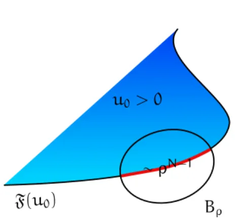 Fig. 5.2: F(u 0 ) tem perímetro localmente finito.