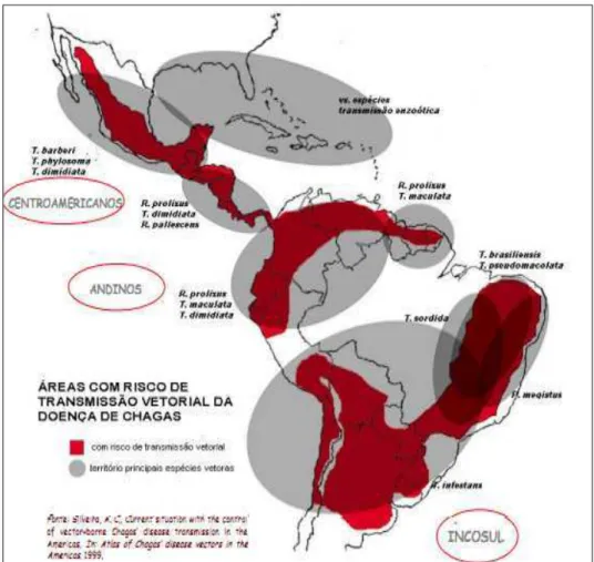Figura 3- Área de risco de transmissão vetorial da doença de Chagas (SILVEIRA et al., 2002)