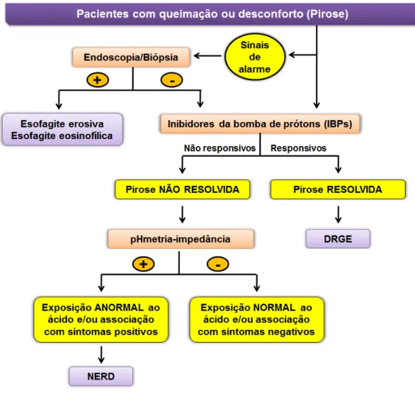 Figura 8. Algoritmo de Diagnóstico Proposto para Pacientes com NERD. Fonte: 