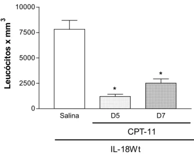 FIGURA 7 - Efeito da administração de cloridrato de irinotecano (CPT-11) no  leucograma de camundongos Balb/c IL-18Wt