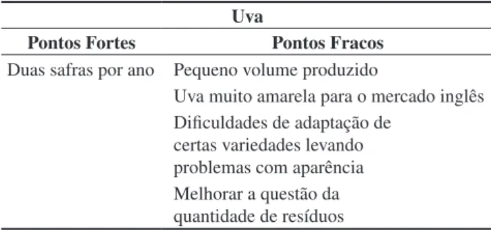 Tabela 2. Pontos fortes e fracos do fornecimento brasileiro de uva 