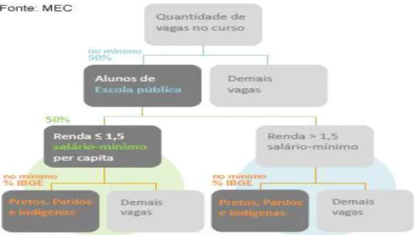 Gráfico do MEC de distribuição de cotas: 