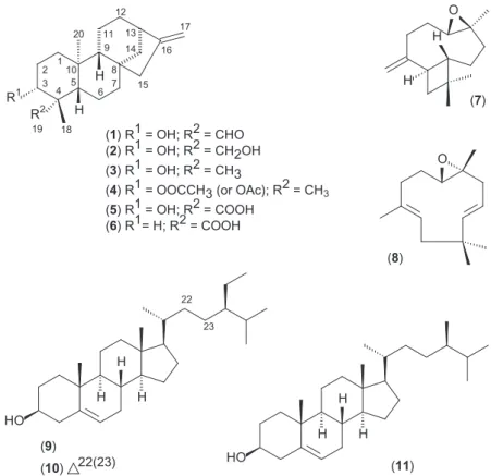 Figure 1. Terpenes found from the stem bark of Annona vepretorum.