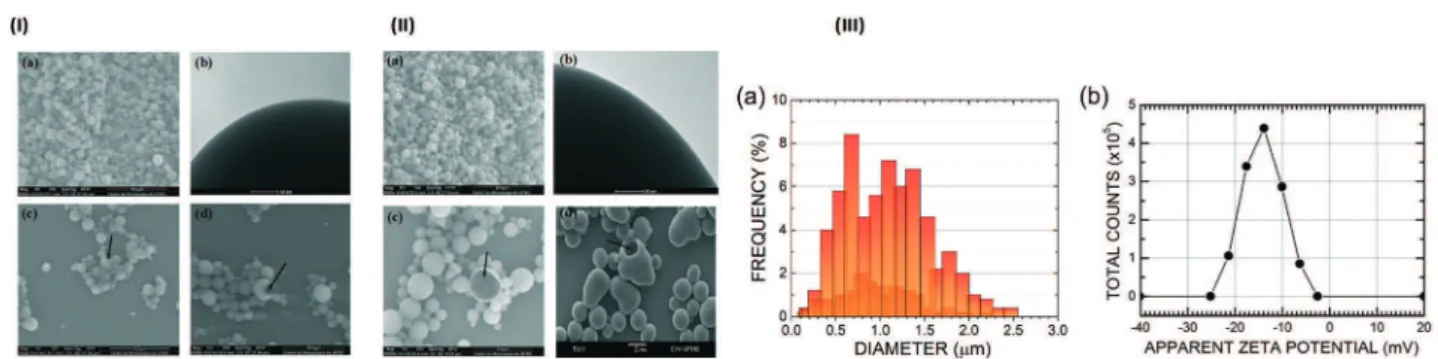 Fig. 2 (I) Microphotographs illustrating the regular spherical form, different sizes and surface features of empty PLGA microparticles obtained by the simple emulsion (o/w) process