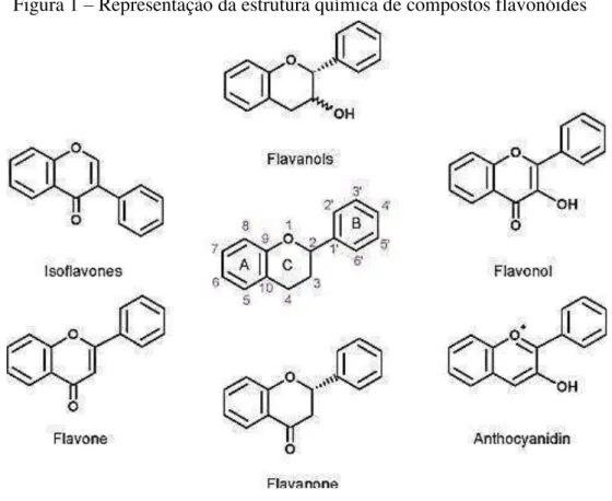 Figura 1  –  Representação da estrutura química de compostos flavonóides 