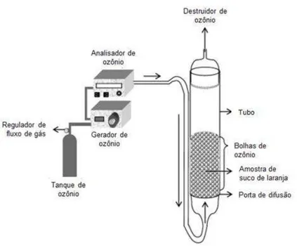 Figura 3: Sistema esquemático de tratamento de ozônio. Fonte: Tiwari et al. (2008a) 