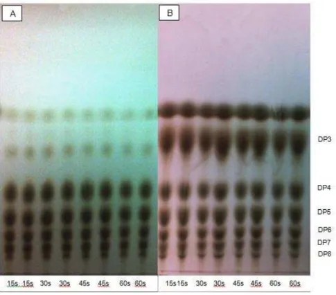 Fig 1  –  Degree of polymerization of the fructo-oligosaccharides in water (A) and orange  juice (B) after direct exposure of plasma treatment 