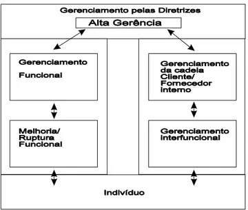 Figura 2 – Hierarquização do Gerenciamento pelas Diretrizes (MELUM &amp; COLLETT, 1995)