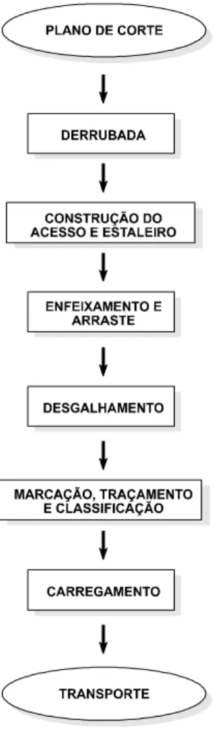 Figura 4 – Fluxograma operacional do setor de suprimento florestal. 