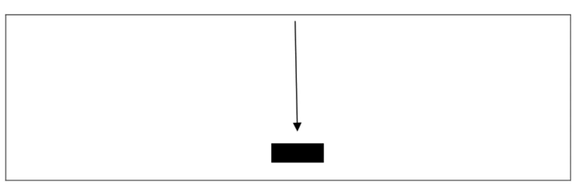 Figura 7 – Diagrama esquema força (pressão) 