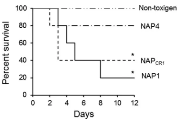 FIG 4 Quantification of histopathological effects of bacteria-free supernatants of the C