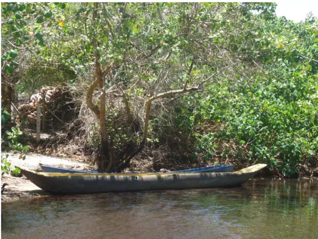 Figura 12 – Canoas de um só pau no Riacho Doce, fronteira do ES com a BA. 