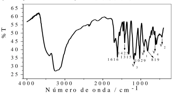 Figura 4 - Espectro na região do infravermelho do complexo trans-[Ru(NH 3 ) 4 (tina)SO 4 ]Cl
