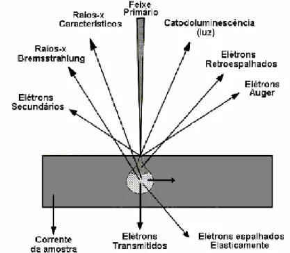 Figura  II.11:  Interações  possíveis  durante  a  incidência  de  um  feixe  de  elétrons  em  uma  amostra  sólida [8] 