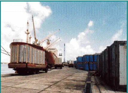Figura 3.2: Porto de Natal – Embarque de frutas paletizadas com a  utilização de caminhões no transporte interno em “embarque direto” 
