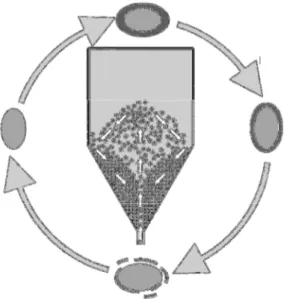 Figura 1. Ciclo de recobrimento, secagem, quebra e arraste da película de suspensão  na secagem em leito de jorro com inertes (TRINDADE, 2004)