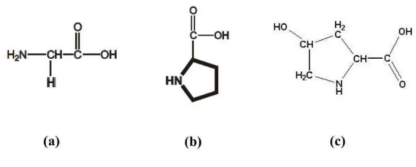 Figura  3-  Fórmula  estrutural  dos  principais  aminoácidos  presentes  no  colágeno:  (a)  Glicina; 