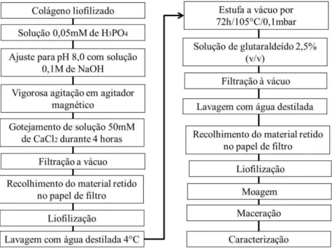 Figura 10- Fluxograma de elaboração do compósito de colágeno e nanohidroxiapatita. 