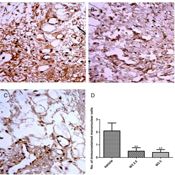 Fig. 4 – Omega-3 PUFA decreased TNF-α immunostainings in the rat inflamed paw, as evaluated by the carrageenan-induced edema model