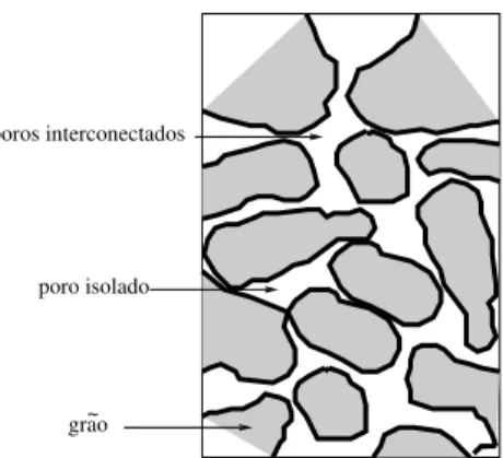 Figura 1: Figura ilustrativa mostrando uma se¸c˜ao transversal de uma amostra de rocha perme´avel.