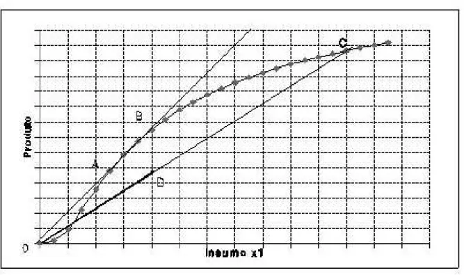Gráfico 3  –  Função de Produção 