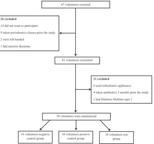 Fig. 1. Study flow chart.