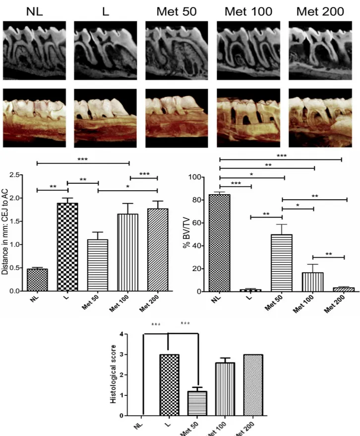 Fig 1. Radiographic evaluation after Met treatment and experimental periodontitis. (A) Representative sagittal 2D and 3D microCT images of no ligature (NL), ligature (L), Met 50, Met 100, and Met 200 groups