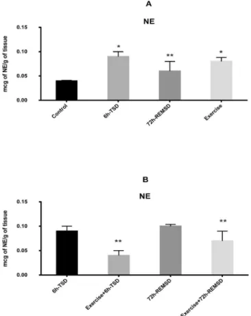 Fig. 5. Eﬀects of exercise, sleep deprivation and combined actions on 5-HT and 5HIAA levels, and 5-HT/5HIAA ratio