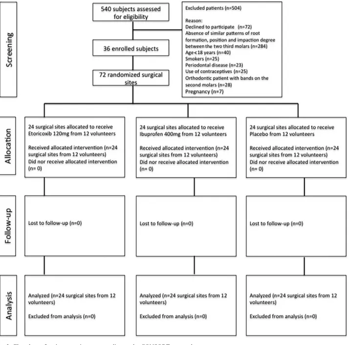Fig. 2. Flowchart of patient recruitment according to the CONSORT protocol.