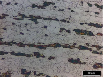 Figure 2 shows the microstructures (RD-ND plane) of inves- inves-tigated specimens. The as-received material with banded ferrite-pearlite microstructure (Fig