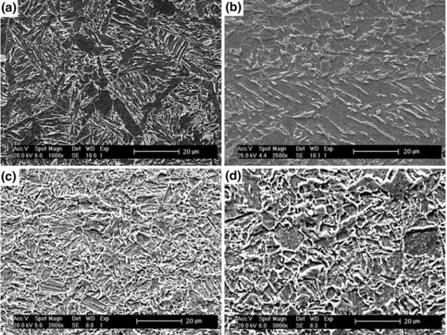 Figure 4 shows the grain boundary distributions in all specimens. The high number of HAGBs (around 75%) is related the formation of new small strain-free recrystallized grains with high fraction of high-angle boundaries which were developed from the soluti