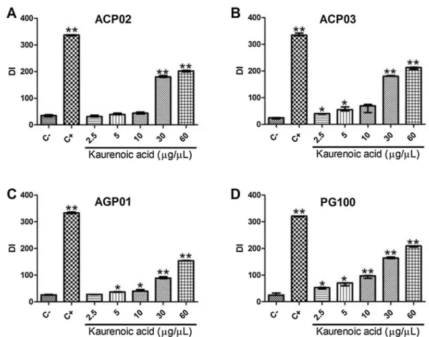 Fig. 4. Genotoxicity of kaurenoic acid by comet assay in each studied gastric cancer cell line