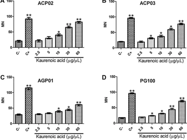 Fig. 5. Effect of kaurenoic acid on micronuclei frequency in each gastric cancer cell line