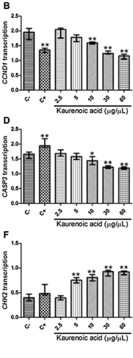 Fig. 7. Kaurenoic acid effect on gene transcription in gastric cancer cell lines. A) MYC; B) CCDN1; C) BCL2; D) CASP3; E) ATM; F) CHK2; G) TP53