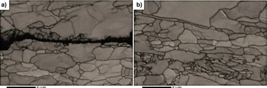 Fig. 15. SEM micrographs of electrochemically charged (a) sample C, (b) sample D.