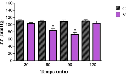 Figura 15: Decréscimo da pressão de perfusão (PP) em rim isolado de ratos. Efeito do  veneno bruto de Bothrops atrox (VBA) na dose de 1 μ g/mL