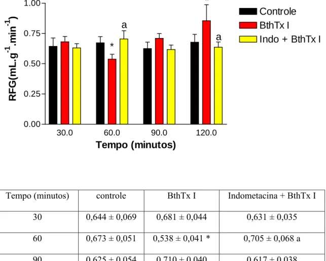 Figura 14 – Efeitos renais promovidos pela miotoxina I purificada do veneno da  serpente Bothrops jararacussu (BthTx I) (05  µ g/mL)  e BthTx I  + indometacina (indo)  (10  µ g/mL) + BthTx I no ritmo de filtração glomerular (RFG)